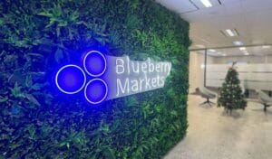 blueberry markets review