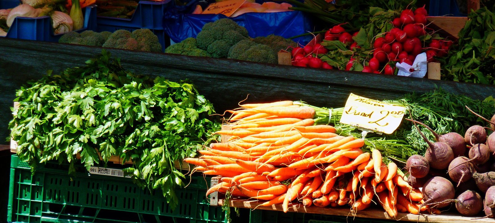 Zanahorias, rábanos y otras verduras en un puesto de mercado con un cartel de precio.